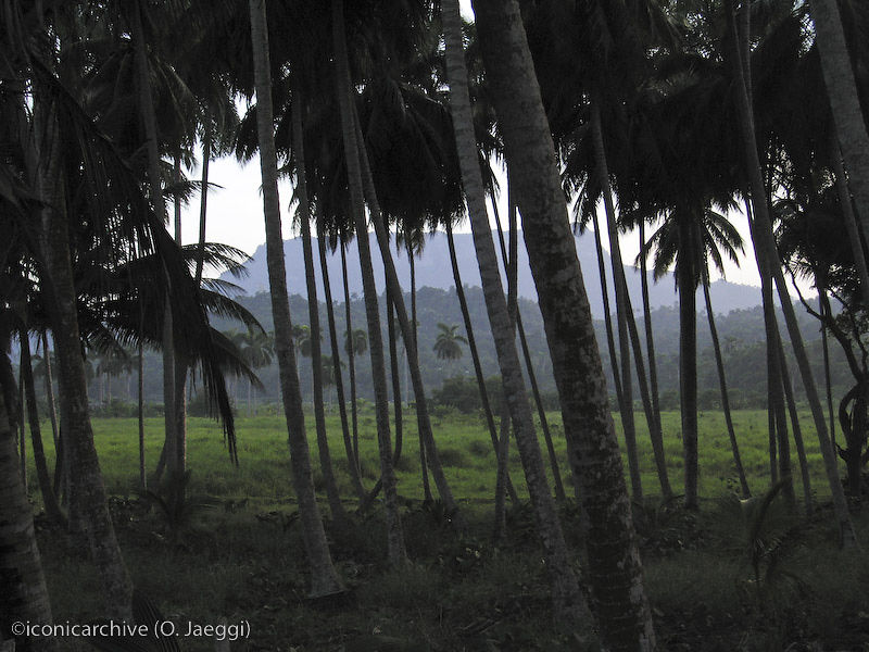 Cuba_2005-725.jpg