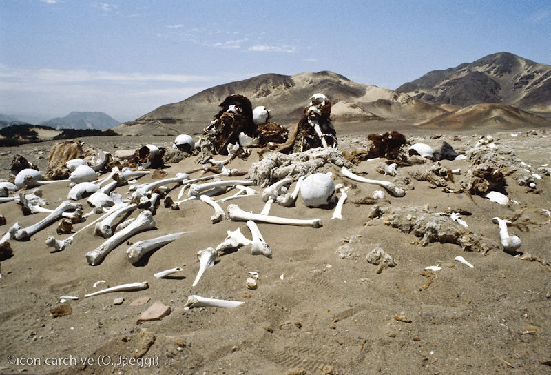 Peru_1987_390.jpg