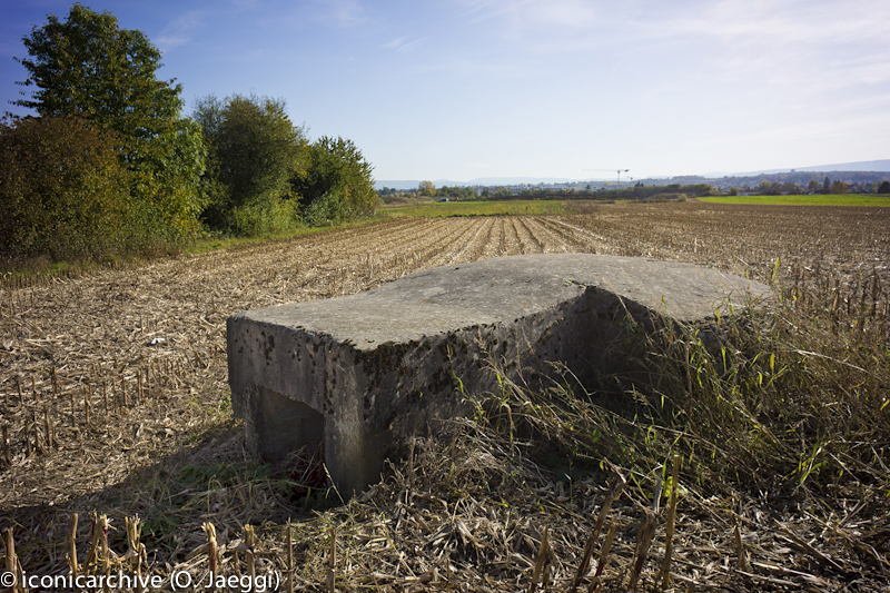 Hegenheim_1_4.jpg