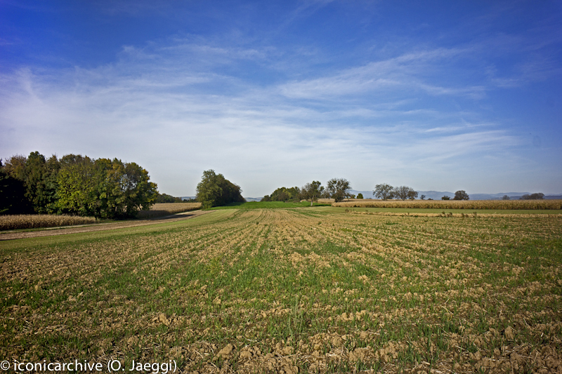 Hegenheim_7_7.jpg