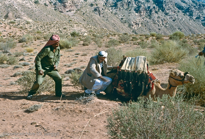 Petra_1991_1404.jpg